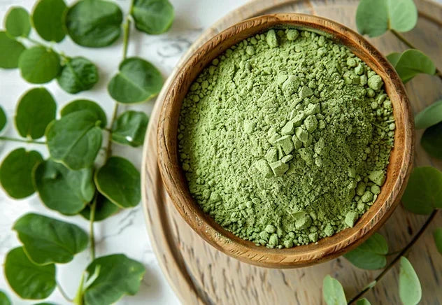 Immune Support